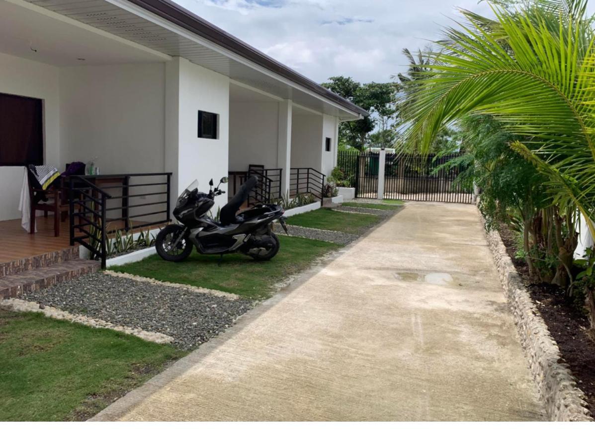 Palm Tree Lodge Moalboal Kültér fotó
